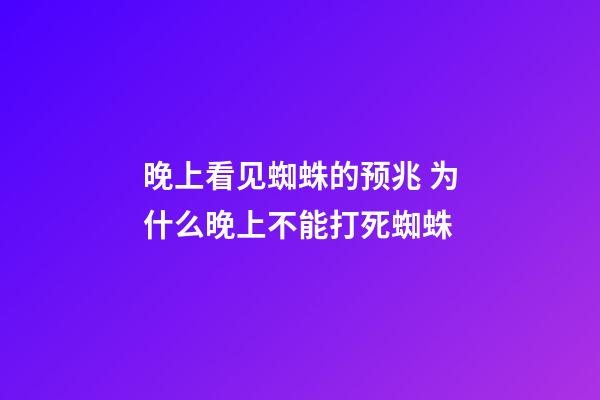 晚上看见蜘蛛的预兆 为什么晚上不能打死蜘蛛